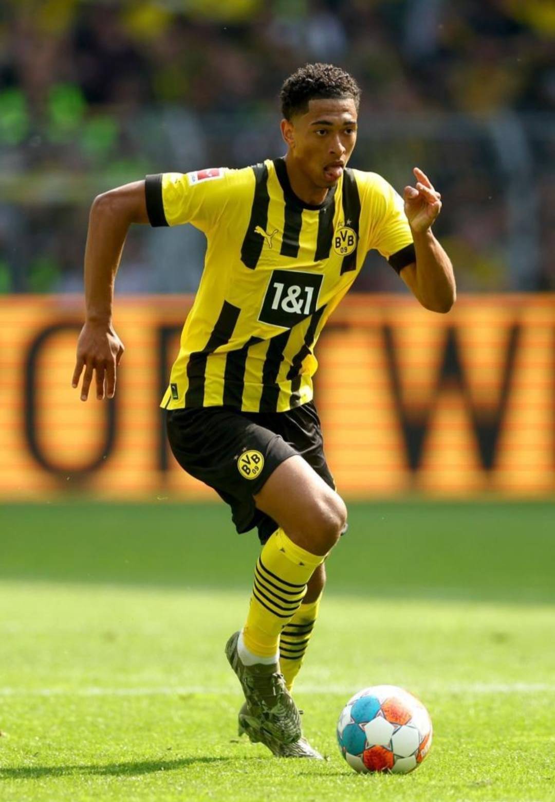 以往节奏 以往节奏