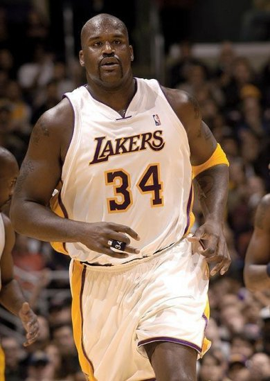 了他们擅长 了他们擅长